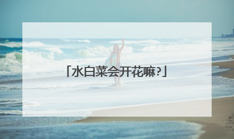 水白菜会开花嘛?