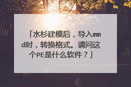 水杉建模后,导入mmd时,转换格式。请问这个PE是什么软件?
