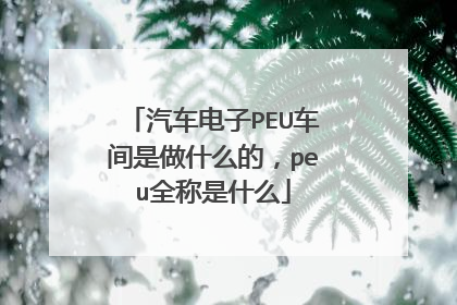 汽车电子PEU车间是做什么的,peu全称是什么