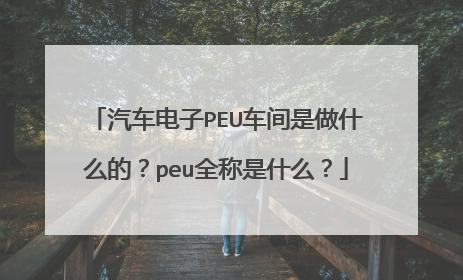 汽车电子PEU车间是做什么的？peu全称是什么？