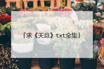 求《天意》txt全集