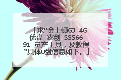 求“金士顿G3 4G优盘 鑫创 SSS6691 量产工具,及教程”具体U盘信息如下。