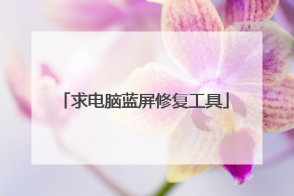 求电脑蓝屏修复工具