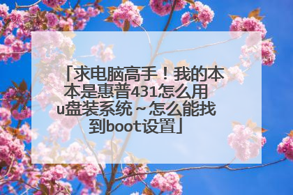 求电脑高手!我的本本是惠普431怎么用u盘装系统~怎么能找到boot设置