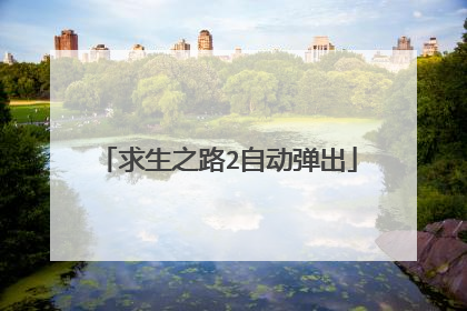 求生之路2自动弹出