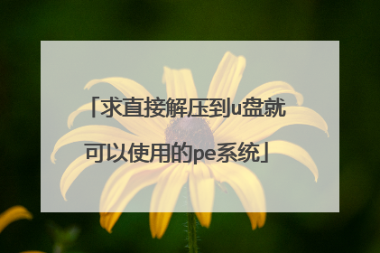 求直接解压到u盘就可以使用的pe系统