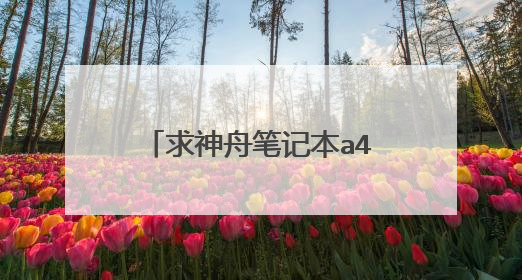 求神舟笔记本a460 i3 d2拆机图+++++分