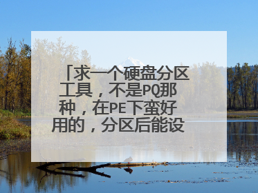 求一个硬盘分区工具，不是PQ那种，在PE下蛮好用的，分区后能设置主引导分区的那个软件 叫什么名字忘记了
