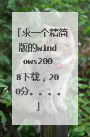 求一个精简版的windows2008下载,200分。。。。