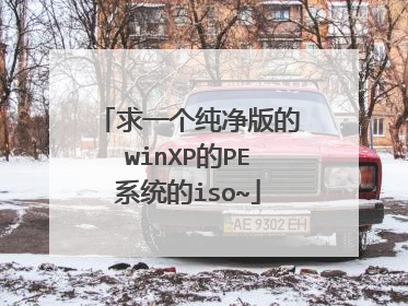 求一个纯净版的winXP的PE系统的iso~