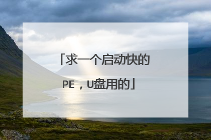 求一个启动快的PE,U盘用的