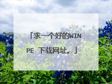 求一个好的WINPE 下载网址。