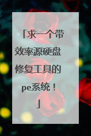 求一个带效率源硬盘修复工具的pe系统!