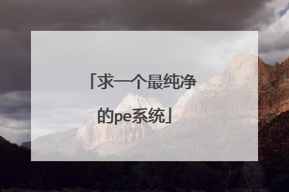 求一个最纯净的pe系统