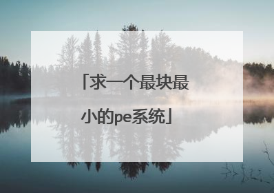 求一个最块最小的pe系统