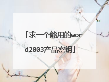 求一个能用的word2003产品密钥