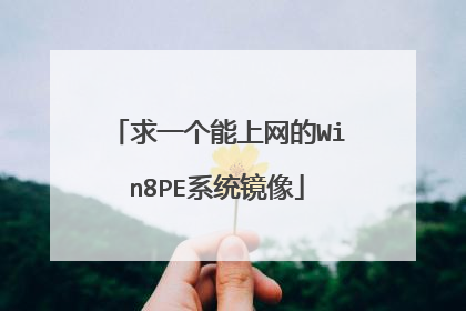 求一个能上网的Win8PE系统镜像