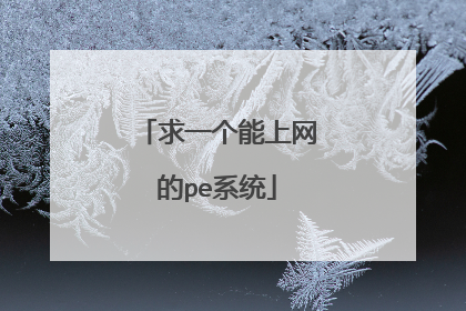 求一个能上网的pe系统