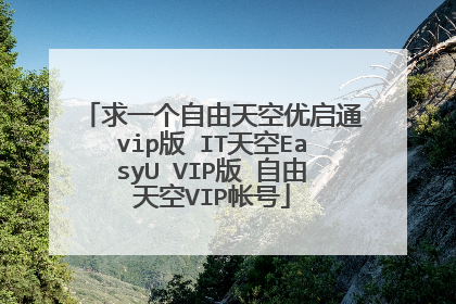 求一个自由天空优启通vip版 IT天空EasyU VIP版 自由天空VIP帐号