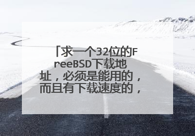 求一个32位的FreeBSD下载地址,必须是能用的,而且有下载速度的,这里是网通的线