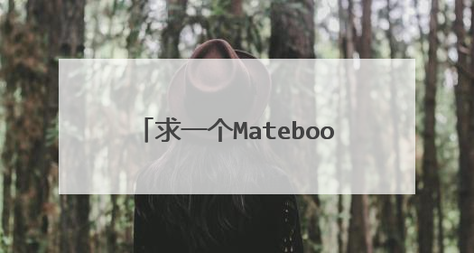 求一个Matebook E 2019 安装win10专业版的教程,工作需要!!