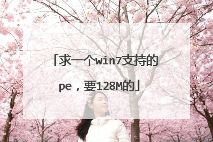 求一个win7支持的pe，要128M的
