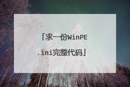 求一份WinPE.ini完整代码