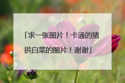 求一张图片!卡通的猪拱白菜的图片!谢谢