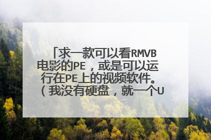 求一款可以看RMVB电影的PE,或是可以运行在PE上的视频软件。(我没有硬盘,就一个U盘和一个光驱)