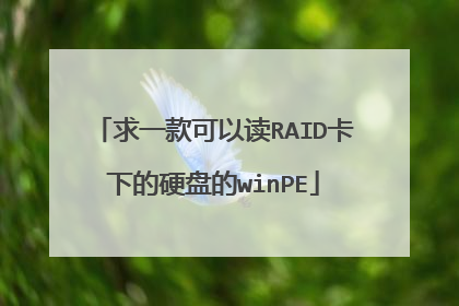 求一款可以读RAID卡下的硬盘的winPE