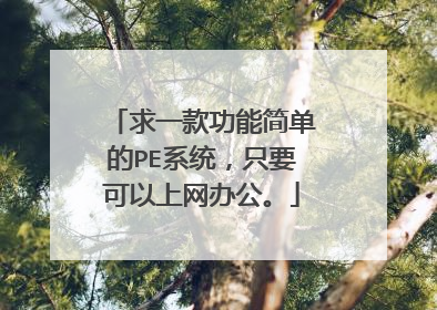 求一款功能简单的PE系统,只要可以上网办公。