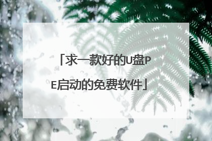 求一款好的U盘PE启动的免费软件