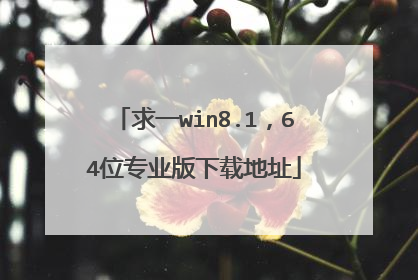 求一win8.1,64位专业版下载地址