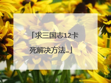 求三国志12卡死解决方法…