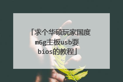 求个华硕玩家国度m6g主板usb耍bios的教程