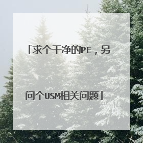 求个干净的PE,另问个USM相关问题