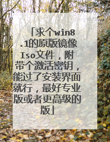 求个win8.1的原版镜像Iso文件,附带个激活密钥,能过了安装界面就行,最好专业版或者更高级的版