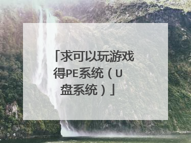 求可以玩游戏得PE系统（U盘系统）