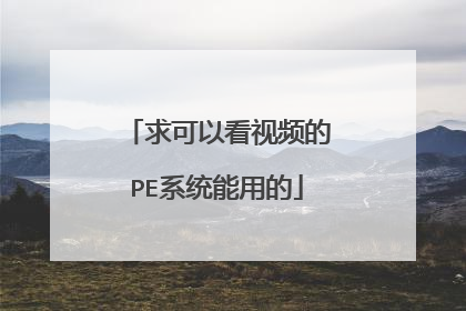 求可以看视频的PE系统能用的