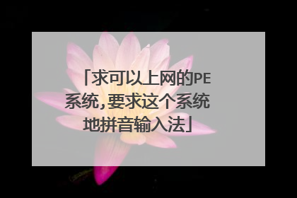 求可以上网的PE系统,要求这个系统地拼音输入法