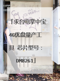 求台电掌中宝4G优盘量产工具 芯片型号:DM8261