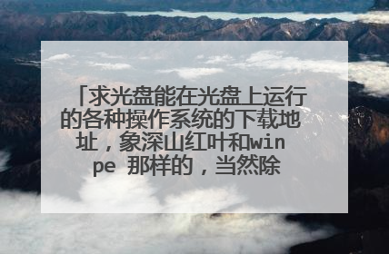 求光盘能在光盘上运行的各种操作系统的下载地址,象深山红叶和win pe 那样的,当然除了以上两种!