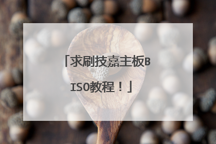 求刷技嘉主板BISO教程！