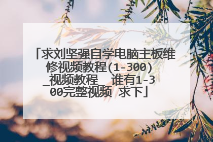 求刘坚强自学电脑主板维修视频教程(1-300)_视频教程_ 谁有1-300完整视频 求下