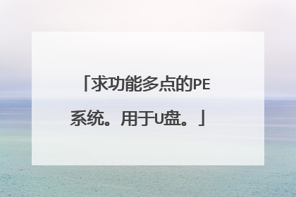 求功能多点的PE系统。用于U盘。