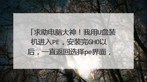 求助电脑大神！我用U盘装机进入PE，安装完GHO以后，一直返回选择pe界面，不开始装系统，怎么回事