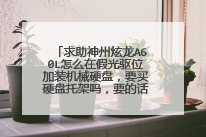 求助神州炫龙A60L怎么在假光驱位加装机械硬盘,要买硬盘托架吗,要的话该买什么牌子的。
