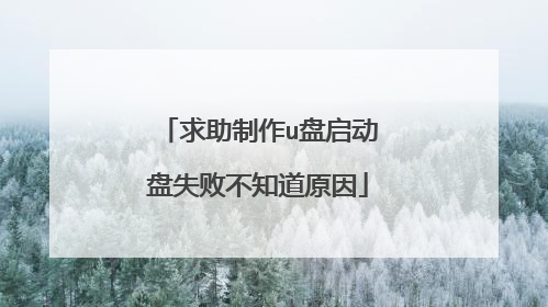 求助制作u盘启动盘失败不知道原因