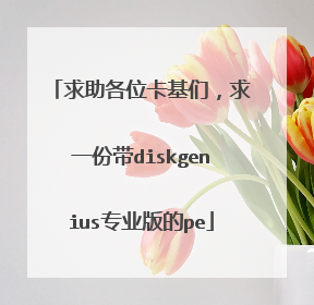 求助各位卡基们，求一份带diskgenius专业版的pe
