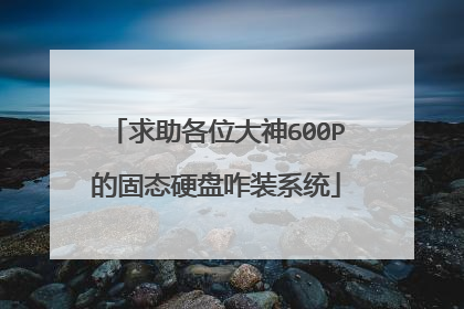 求助各位大神600P的固态硬盘咋装系统